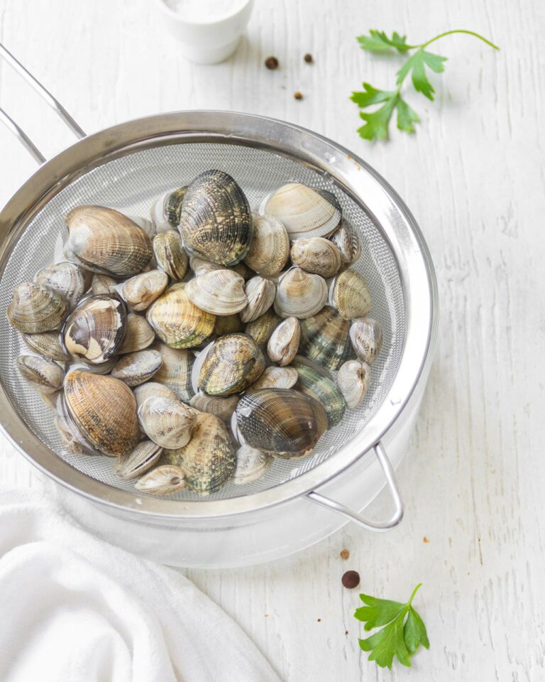 Come pulire le vongole alla perfezione: guida completa e consigli pratici